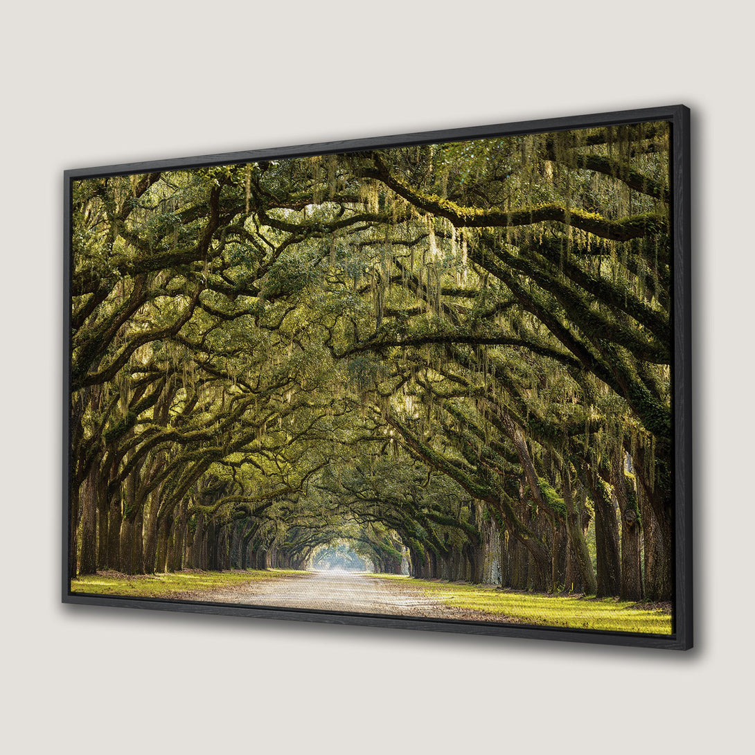 Framed Wall Art: Scenic tree-lined road in green and gold. Landscape Canvas Print adds a touch of nature and serenity to your home decor.