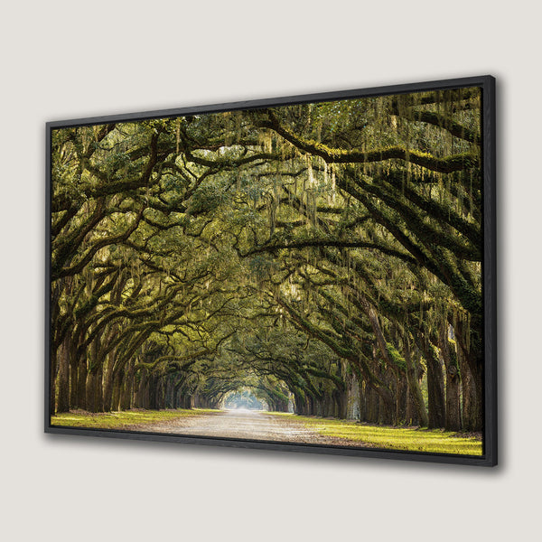 Framed Wall Art: Scenic tree-lined road in green and gold. Landscape Canvas Print adds a touch of nature and serenity to your home decor.