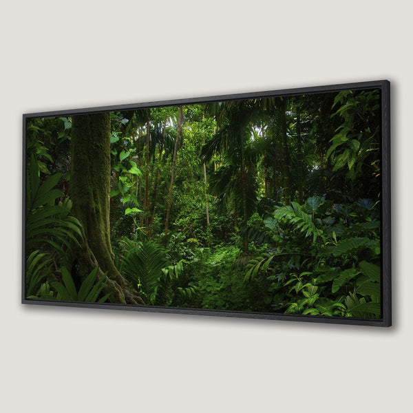 Framed Wall Art: Lush tropical rainforest scene. Green foliage & trees create a vibrant, nature-inspired canvas print for your home decor.