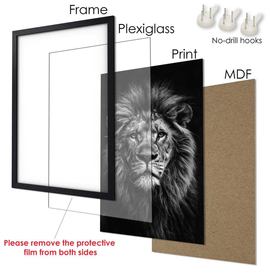 Framed Poster of a lion in black and white. Stunning animal art for your home decor.