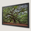 Majestic Live Oak Art Poster with Expansive Branches