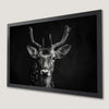 Monochrome Fawn Portrait Art Poster for Home Decor