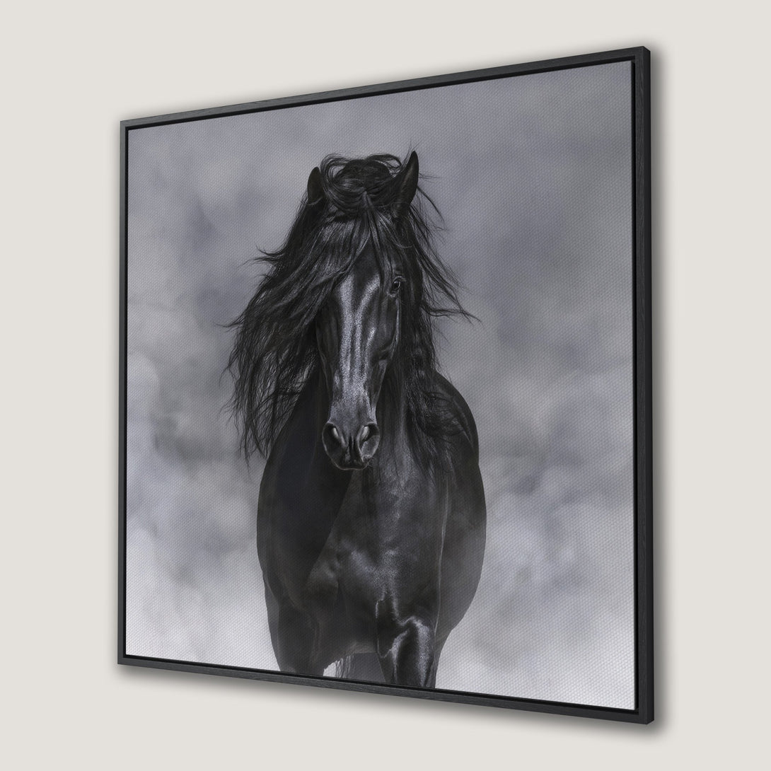 Framed Wall Art: Majestic black horse portrait in grayscale. Stunning canvas print for modern home decor, adding elegance and style.