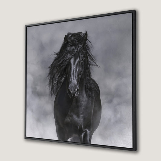 Noble Horse Flowing Mane Canvas Print Equine Beauty