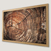Old Oak Tree Rings Poster | Rustic Nature Wall Art