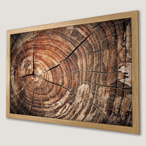 Framed Poster of a tree stump cross-section, rustic style with warm brown and beige tones. Perfect for nature lovers!