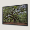 Old Southern Live Oak Canvas Print with Expansive Branches