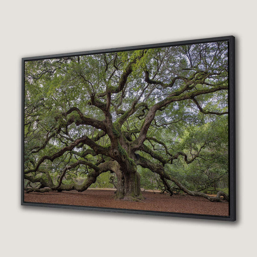 Framed Wall Art: Majestic tree print with green & brown tones. Bring nature's beauty indoors with this stunning Canvas Print. Perfect for any space!