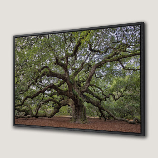 Framed Wall Art: Majestic tree print with green & brown tones. Bring nature's beauty indoors with this stunning Canvas Print. Perfect for any space!