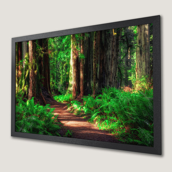 Framed Poster of a serene forest path, lush greens & earthy tones. Bring nature's beauty into your home with this stunning wall art.