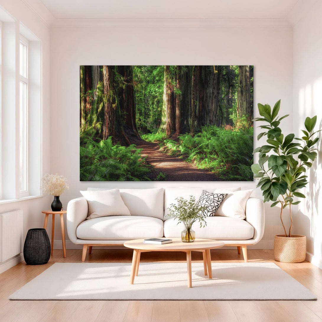 Framed Wall Art of a serene forest path. Lush green and brown tones create a calming nature scene. Perfect for adding a touch of tranquility to your home.