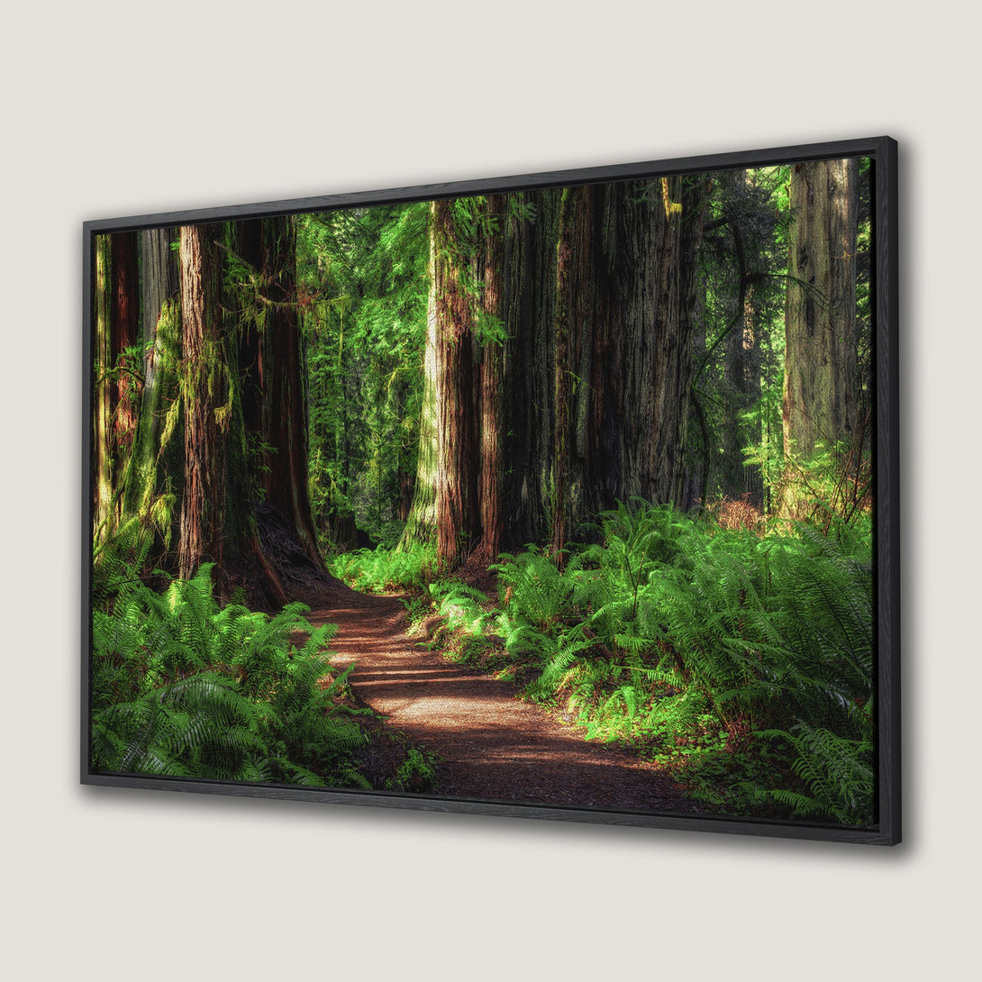 Framed Wall Art: Serene forest path Canvas Print. Nature-inspired art with lush greens and earthy tones. Bring the outdoors in!