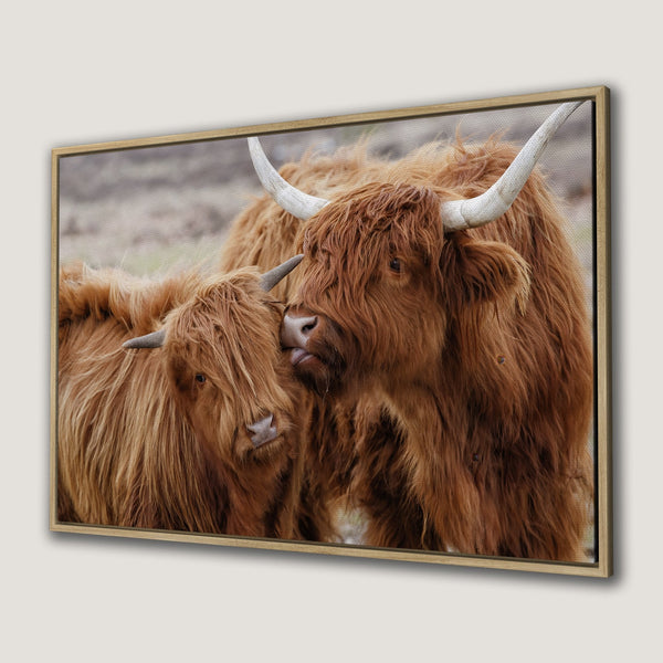 Framed Wall Art: Highland cows portrait in warm brown tones. Rustic canvas print adds cozy charm to any space. Shop now for unique animal art!