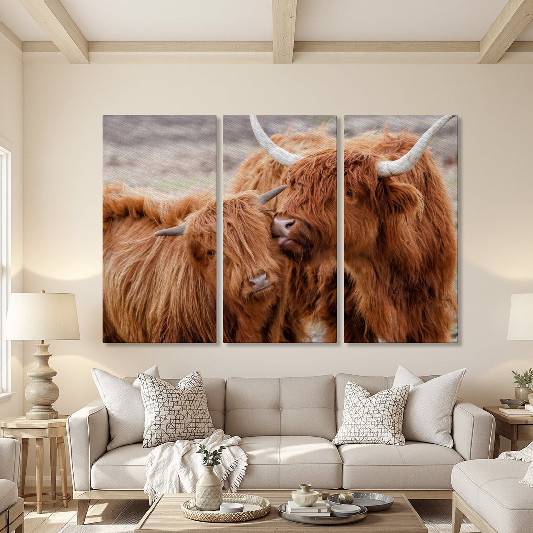 Canvas Print of Highland cows in a warm, rustic interior. Earthy tones and cozy style. Perfect wall art for living room decor.