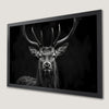 Stag Antlers Art Poster - Black and White Wildlife Decor
