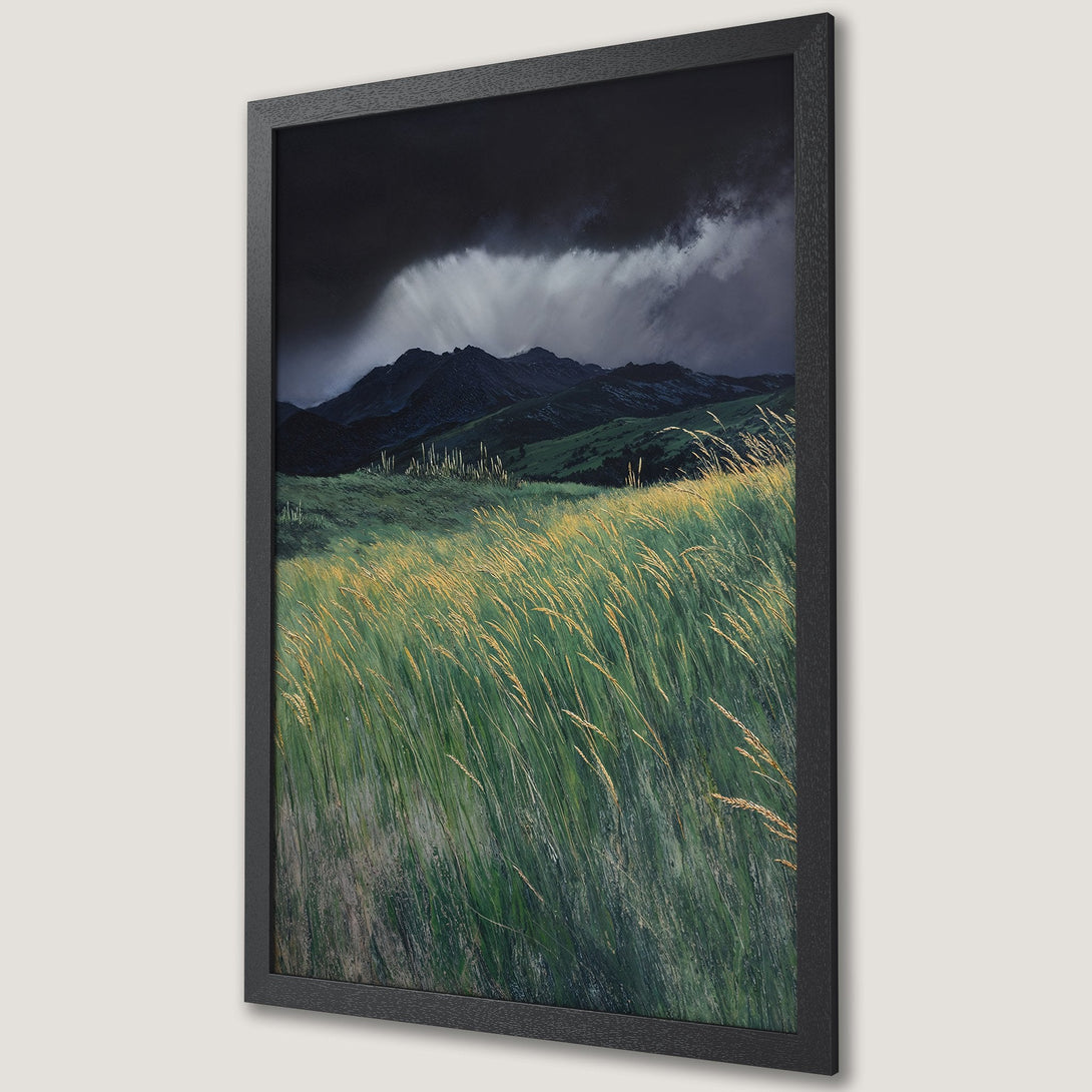 Framed Poster of a dramatic landscape with mountains and tall grass. Moody style, green and gold color palette. Perfect wall art.