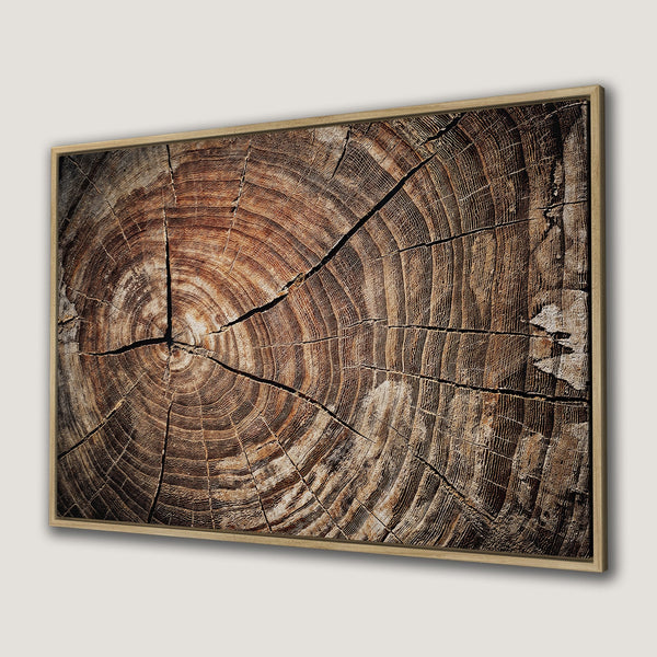 Framed Wall Art Canvas Print. Rustic wood slice art in warm brown tones. Adds a natural, organic feel to any space.