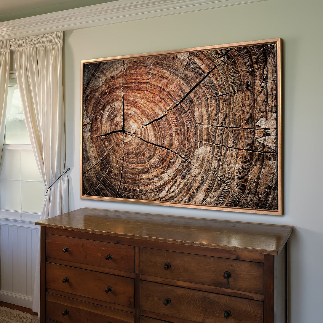 Framed Wall Art featuring a detailed tree trunk cross-section in warm brown tones. Rustic style Canvas Print adds natural elegance to any room.