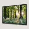 Sunny Forest Sunset Canvas Print with Wildflowers