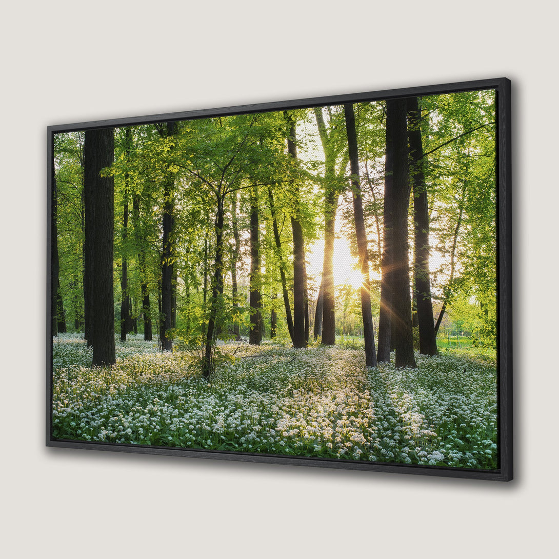 Framed Wall Art of a serene forest scene with sunlight streaming through trees. Featuring a vibrant green and white color palette, perfect for nature lovers.