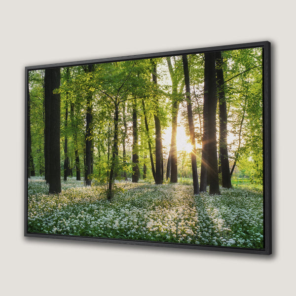 Framed Wall Art of a serene forest scene with sunlight streaming through trees. Featuring a vibrant green and white color palette, perfect for nature lovers.