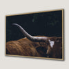Texas Longhorn Cow Close Up Canvas Print Rustic Decor