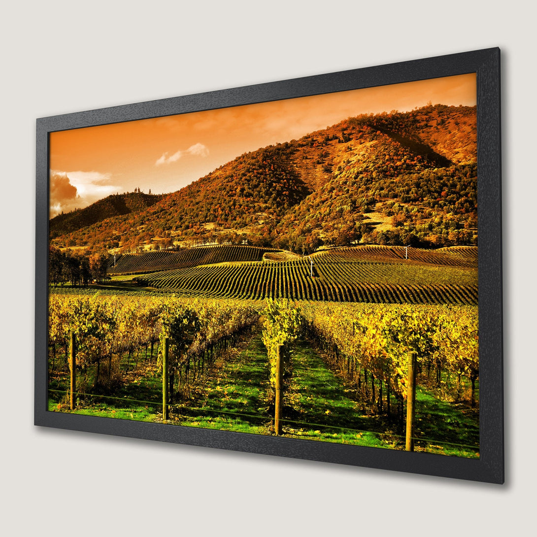 Framed Poster of a vineyard landscape in warm autumn colors. Perfect wall art for your home!