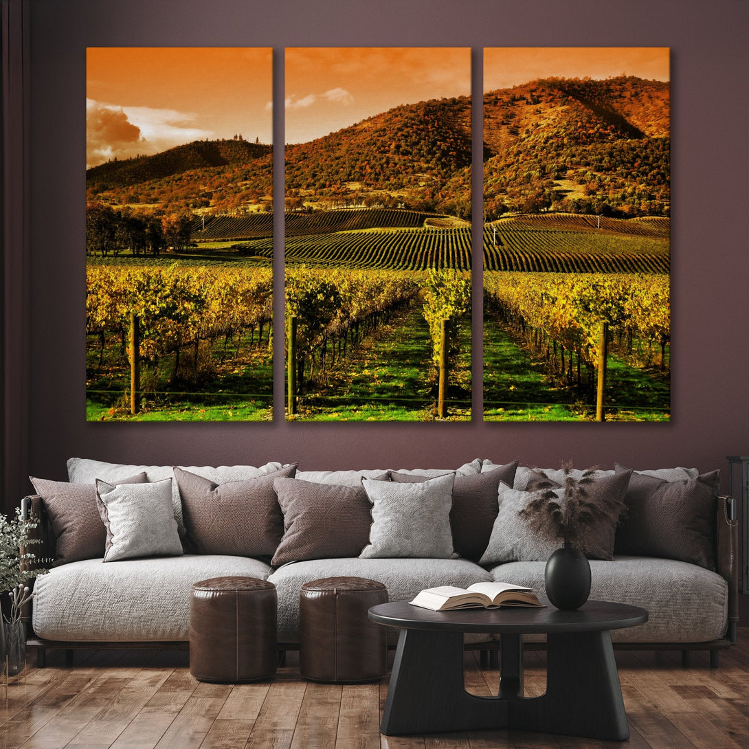 Canvas Print of a vineyard landscape with warm, autumn colors. Adds a touch of rustic charm to any space.
