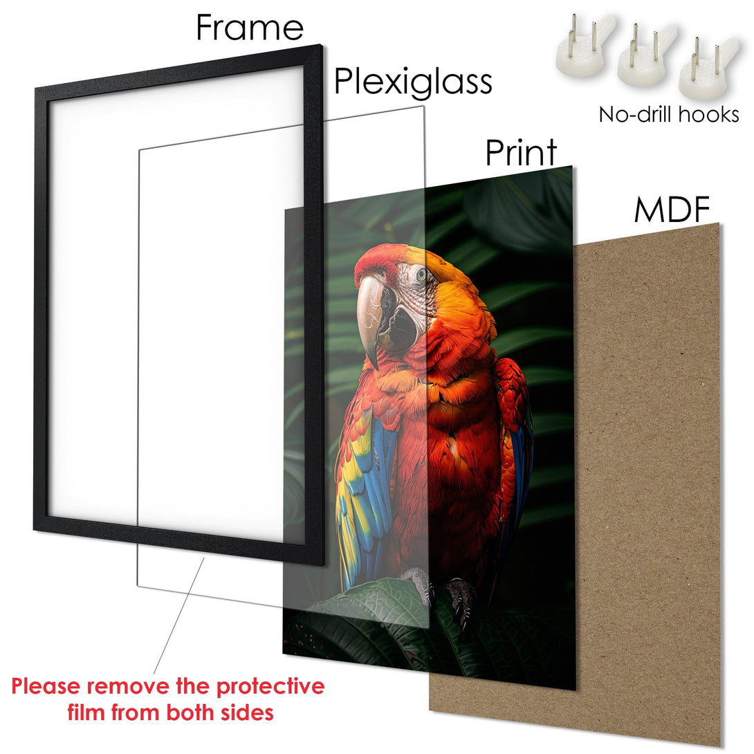 Framed Poster featuring a vibrant parrot. Colorful artwork in a sleek black frame, ready to hang.
