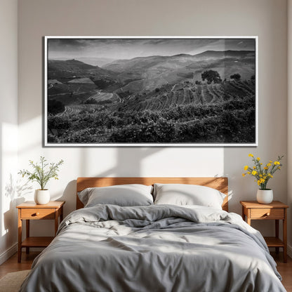 Vineyard Landscape in Douro Valley Canvas Print Art