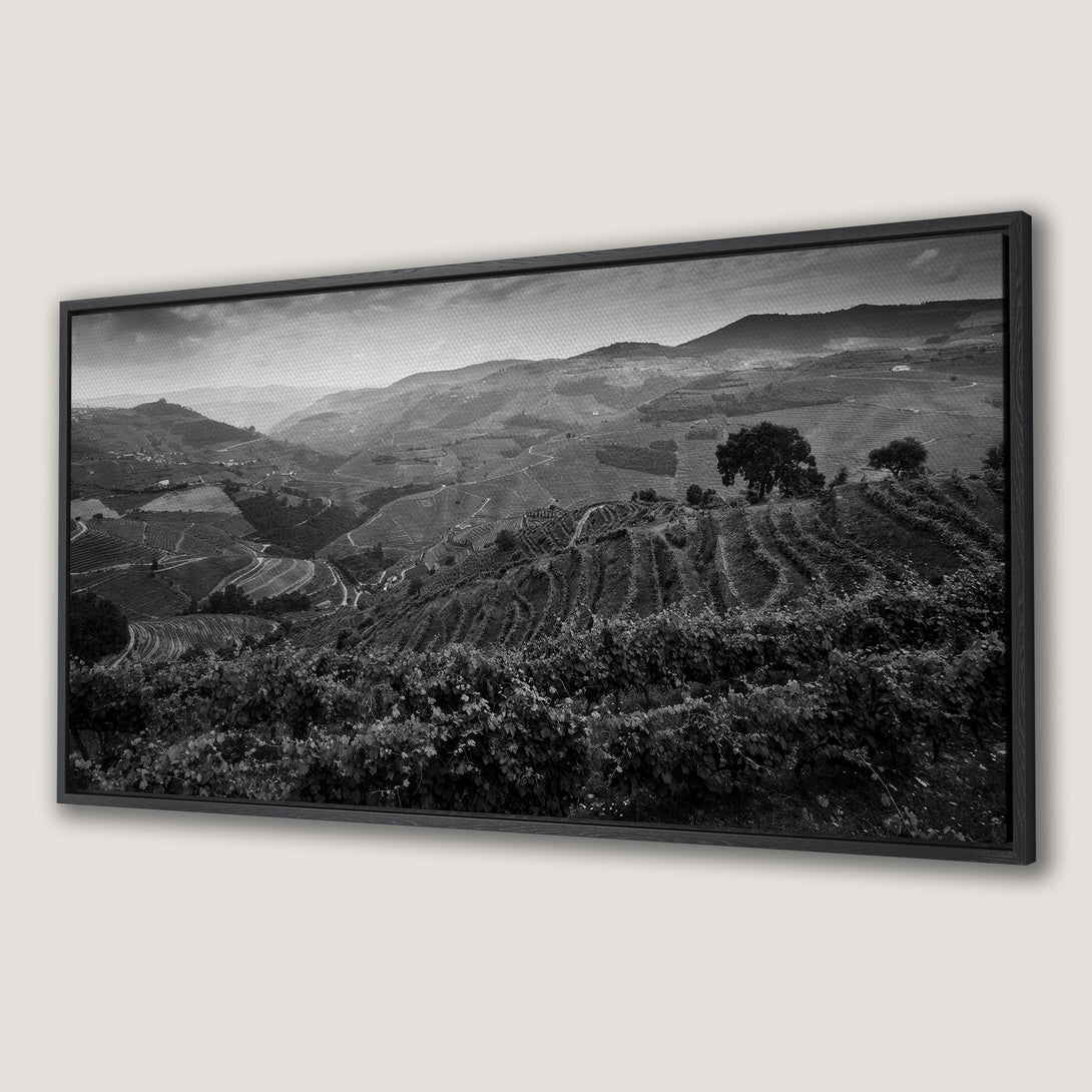 Framed Wall Art: Black and white landscape Canvas Print of a vineyard. Modern monochrome art for home decor.