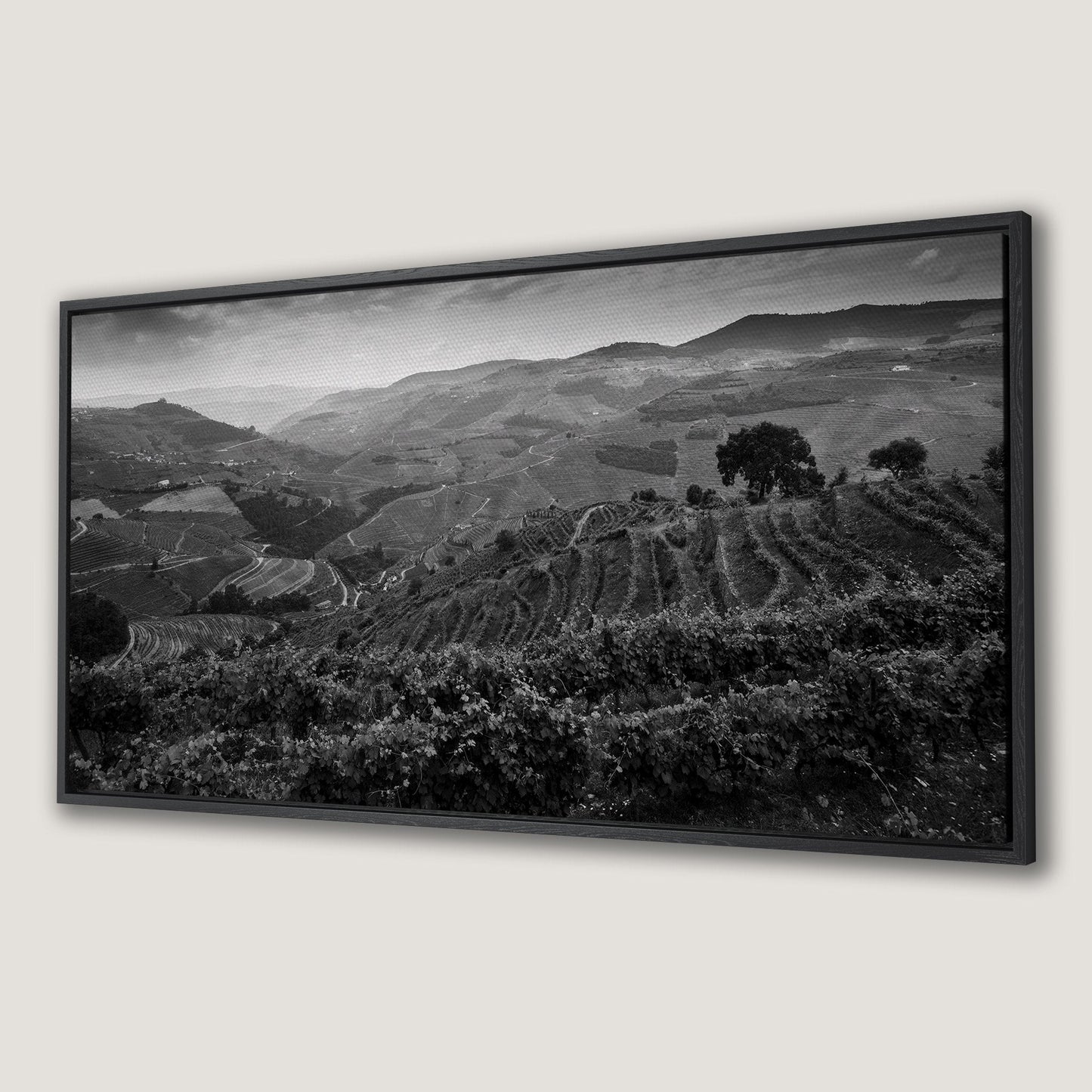 Vineyard Landscape in Douro Valley Canvas Print Art