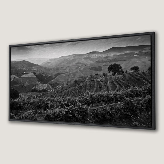 Vineyard Landscape in Douro Valley Canvas Print Art