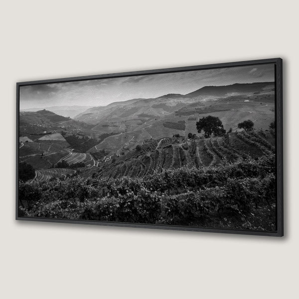 Framed Wall Art: Black and white landscape Canvas Print of a vineyard. Modern monochrome art for home decor.