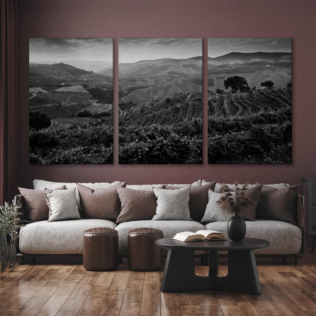 Canvas Print triptych of a vineyard landscape in grayscale, perfect for modern home decor. Black and white art adds a touch of elegance.