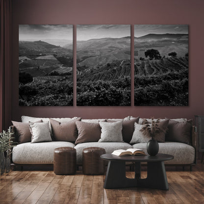 Vineyard Landscape in Douro Valley Canvas Print Art