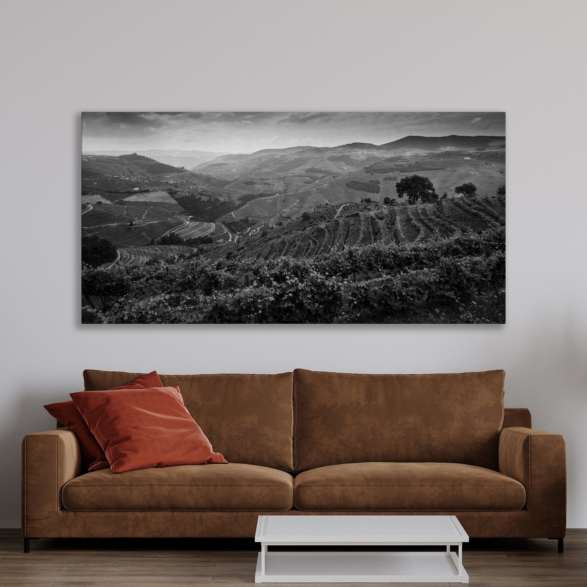 Vineyard Landscape in Douro Valley Canvas Print Art