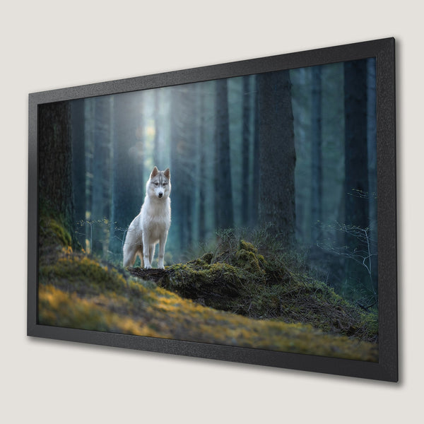 Framed Poster featuring a majestic husky in a forest. Moody, nature-inspired art with a cool blue and green color palette.
